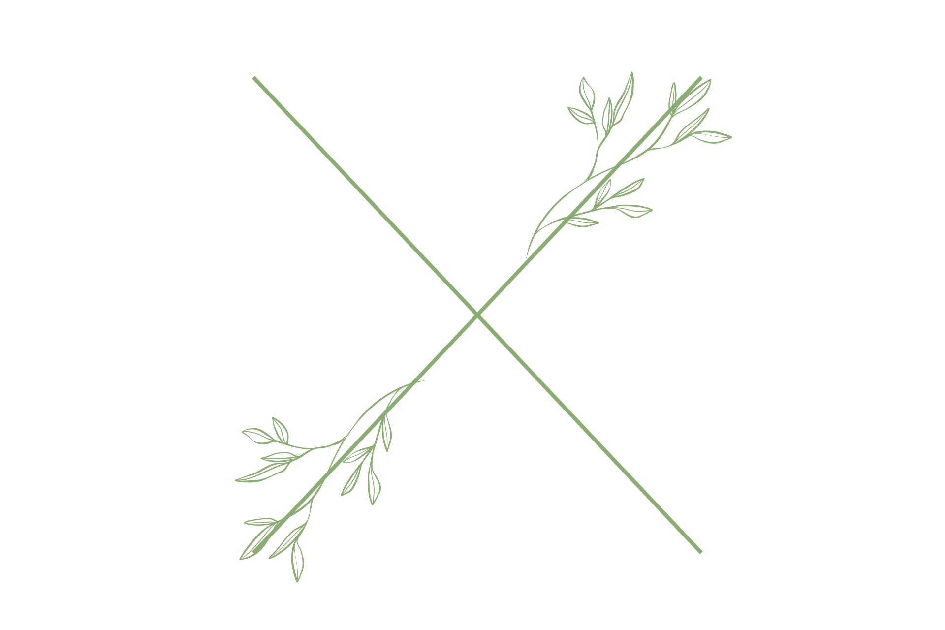 Moringa Wellness Combo